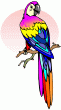Birds & Supplies